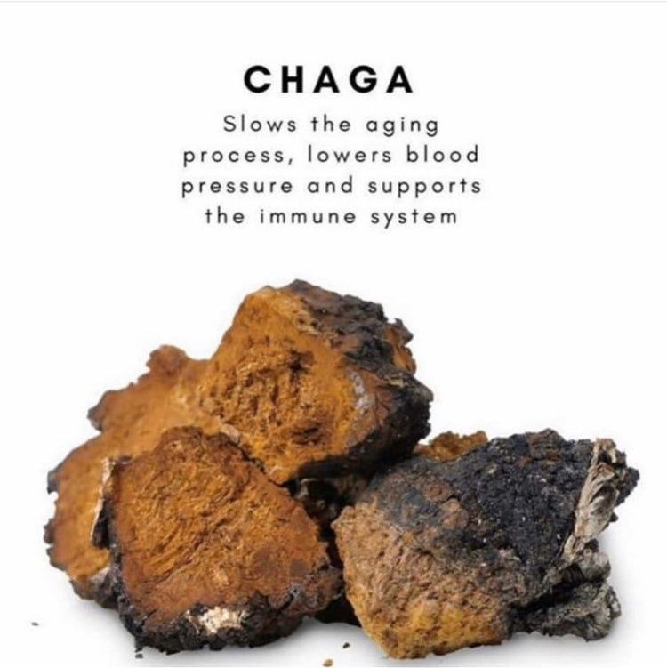CHAGA (Limited Time Offer)